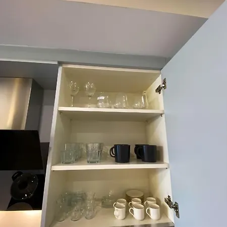 Brand-new Elegant 1-bedroom Apartment *