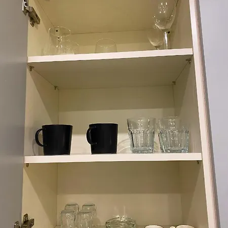 Brand-new Elegant 1-bedroom Apartment